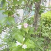 ヒメ日記 2025/05/20 17:53 投稿 まりこ 完熟ばなな大宮