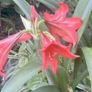 ヒメ日記 2025/05/25 11:33 投稿 まりこ 完熟ばなな大宮