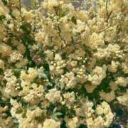 ヒメ日記 2025/05/27 18:03 投稿 まりこ 完熟ばなな大宮