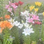 ヒメ日記 2025/06/14 11:33 投稿 まりこ 完熟ばなな大宮