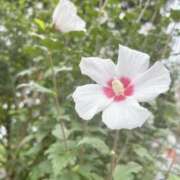 ヒメ日記 2025/07/16 17:53 投稿 まりこ 完熟ばなな大宮