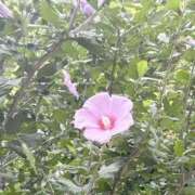 ヒメ日記 2025/07/17 18:03 投稿 まりこ 完熟ばなな大宮