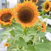 ヒメ日記 2025/08/05 17:53 投稿 まりこ 完熟ばなな大宮