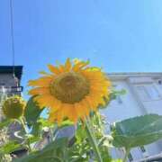 ヒメ日記 2025/08/07 17:53 投稿 まりこ 完熟ばなな大宮