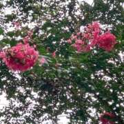 ヒメ日記 2025/08/09 10:33 投稿 まりこ 完熟ばなな大宮