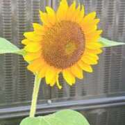 ヒメ日記 2025/08/10 12:13 投稿 まりこ 完熟ばなな大宮