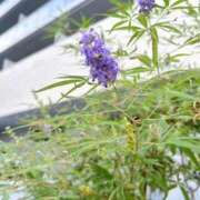 ヒメ日記 2025/09/13 11:13 投稿 まりこ 完熟ばなな大宮