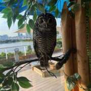 ヒメ日記 2025/09/19 23:03 投稿 まりこ 完熟ばなな大宮