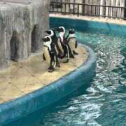 ヒメ日記 2025/09/26 18:03 投稿 まりこ 完熟ばなな大宮