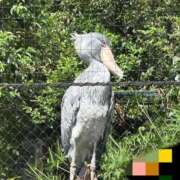 ヒメ日記 2025/09/30 17:43 投稿 まりこ 完熟ばなな大宮