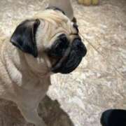 ヒメ日記 2025/10/17 18:53 投稿 まりこ 完熟ばなな大宮