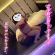 ヒメ日記 2024/12/28 23:25 投稿 あお 栃木宇都宮ちゃんこ