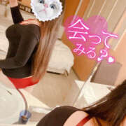 ヒメ日記 2025/02/15 18:25 投稿 あお 栃木宇都宮ちゃんこ