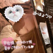 ヒメ日記 2025/04/19 12:07 投稿 あお 栃木宇都宮ちゃんこ