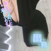 ヒメ日記 2025/04/20 12:15 投稿 あお 栃木宇都宮ちゃんこ