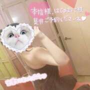 ヒメ日記 2025/05/11 11:55 投稿 あお 栃木宇都宮ちゃんこ