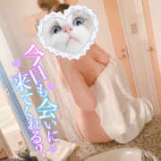 ヒメ日記 2025/05/27 11:55 投稿 あお 栃木宇都宮ちゃんこ