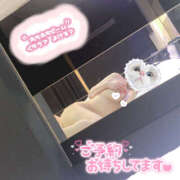 ヒメ日記 2025/06/05 08:05 投稿 あお 栃木宇都宮ちゃんこ