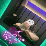 ヒメ日記 2025/06/28 12:17 投稿 あお 栃木宇都宮ちゃんこ