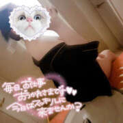 ヒメ日記 2025/08/17 12:12 投稿 あお 栃木宇都宮ちゃんこ