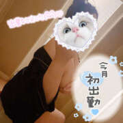 あお 💙 今日はなにして遊ぶ〜?? 栃木宇都宮ちゃんこ