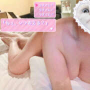 あお 💙 ギャルねこ〜🐱 栃木宇都宮ちゃんこ