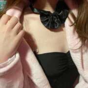 ヒメ日記 2025/03/20 09:02 投稿 ミライ バニーコレクション新潟店