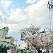 秋川 美月 花は桜、君は美し🌸 テレジア京都