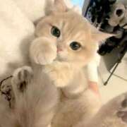 ヒメ日記 2025/12/21 09:16 投稿 しゅり One More 奥様　西船橋店