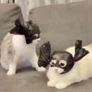 ヒメ日記 2026/02/02 05:13 投稿 しゅり One More 奥様　西船橋店