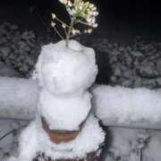 ヒメ日記 2026/02/08 05:14 投稿 しゅり One More 奥様　西船橋店