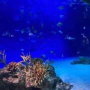 ヒメ日記 2026/03/02 23:33 投稿 しゅり One More 奥様　西船橋店