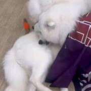 ヒメ日記 2026/03/14 01:03 投稿 しゅり One More 奥様　西船橋店