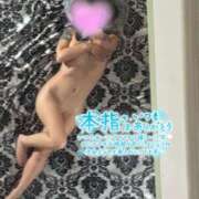 ヒメ日記 2026/03/29 02:17 投稿 しゅり One More 奥様　西船橋店