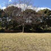 ヒメ日記 2024/12/31 14:09 投稿 前田 さき こあくまな熟女たち三河店（KOAKUMAグループ）