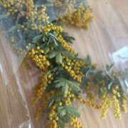 ヒメ日記 2025/04/02 19:32 投稿 前田 さき こあくまな熟女たち三河店（KOAKUMAグループ）