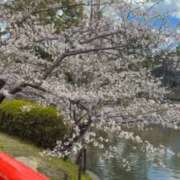 ヒメ日記 2025/04/09 10:40 投稿 前田 さき こあくまな熟女たち三河店（KOAKUMAグループ）