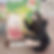 ヒメ日記 2026/01/27 16:23 投稿 のあ 新宿ハンドメイド