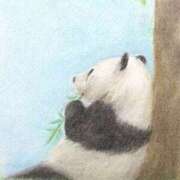 ヒメ日記 2025/03/06 09:24 投稿 くるなちゃん ちょい！ぽちゃロリ倶楽部Hip's馬橋店