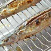 ヒメ日記 2025/09/03 10:54 投稿 くるなちゃん ちょい！ぽちゃロリ倶楽部Hip's馬橋店