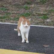 ヒメ日記 2025/12/01 19:11 投稿 くるなちゃん ちょい！ぽちゃロリ倶楽部Hip's馬橋店