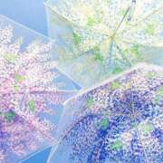 ヒメ日記 2026/04/27 12:51 投稿 くるなちゃん ちょい！ぽちゃロリ倶楽部Hip's馬橋店