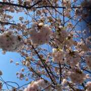 ヒメ日記 2025/05/03 17:49 投稿 おと奥様 金沢の20代30代40代50代が集う人妻倶楽部