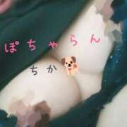 ヒメ日記 2025/03/23 12:35 投稿 ちか ぽちゃらん旭店