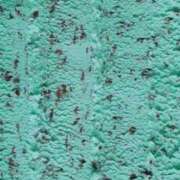 ヒメ日記 2025/06/11 17:30 投稿 ちか ぽちゃらん旭店