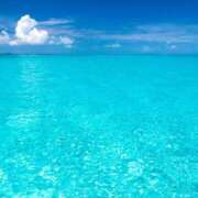 ヒメ日記 2025/08/20 10:23 投稿 ちか ぽちゃらん旭店