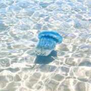 ヒメ日記 2025/12/29 20:42 投稿 ちか ぽちゃらん旭店