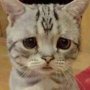 ヒメ日記 2026/01/24 00:29 投稿 ちか ぽちゃらん旭店