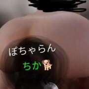 ヒメ日記 2026/05/04 12:35 投稿 ちか ぽちゃらん旭店