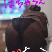 ヒメ日記 2026/05/24 15:33 投稿 ちか ぽちゃらん旭店